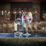 Cocoa Gin &amp; Tonic Cocktail Recipe, , hi-res