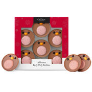 A Dozen Roly-Poly Chocolate Robins, , hi-res