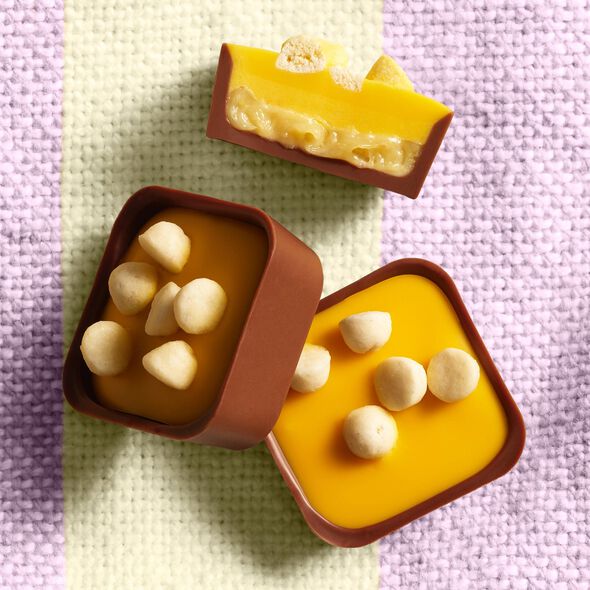 Passion Fruit Cheesecake Selector &ndash; Limited Edition, , hi-res