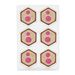 Cherry Coconut Slice Selector &ndash; Limited Edition , , hi-res