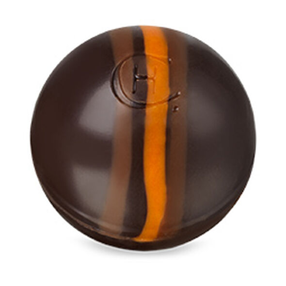 Champagne Cocktail, , hi-res