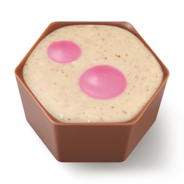 Cherry Coconut Slice Selector &ndash; Limited Edition , , hi-res