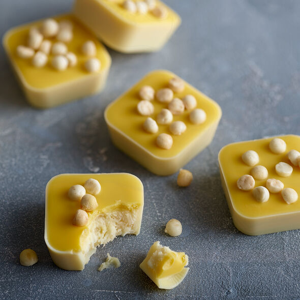 Lemon Chocolate Cheesecake Selector, , hi-res