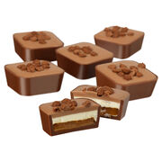Chocolate Caramel Cheesecake Selector, , hi-res