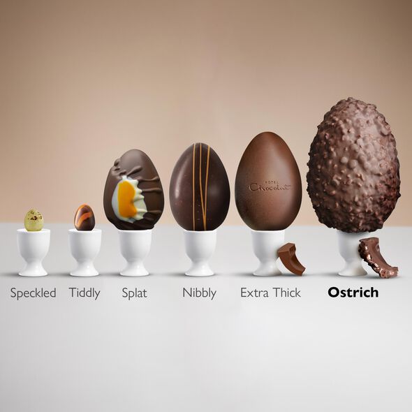 Everything Chocolate Ostrich Easter Egg , , hi-res
