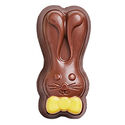 Praline Chocolate Bunny Selector