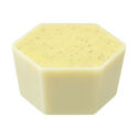 Custard Tart