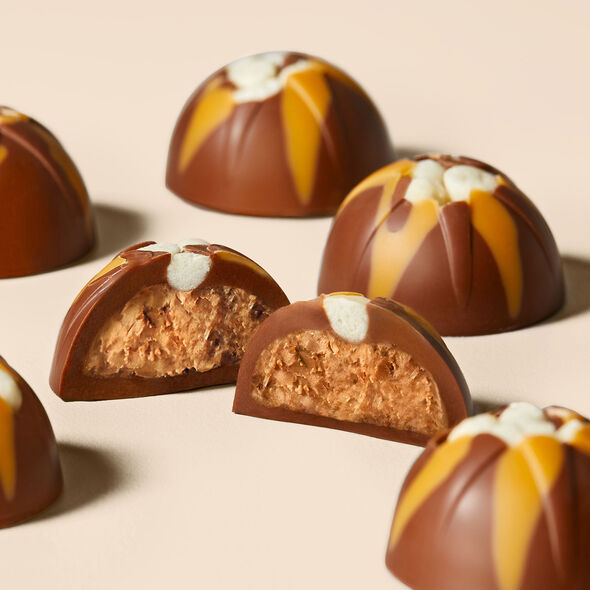 Billionaire Shortbread Chocolate Selector, , hi-res