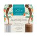 Saint Lucian Island Growers 50% Milk Hot Chocolate Sachets, , hi-res