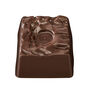 Brownie Chocolate Selector, , hi-res