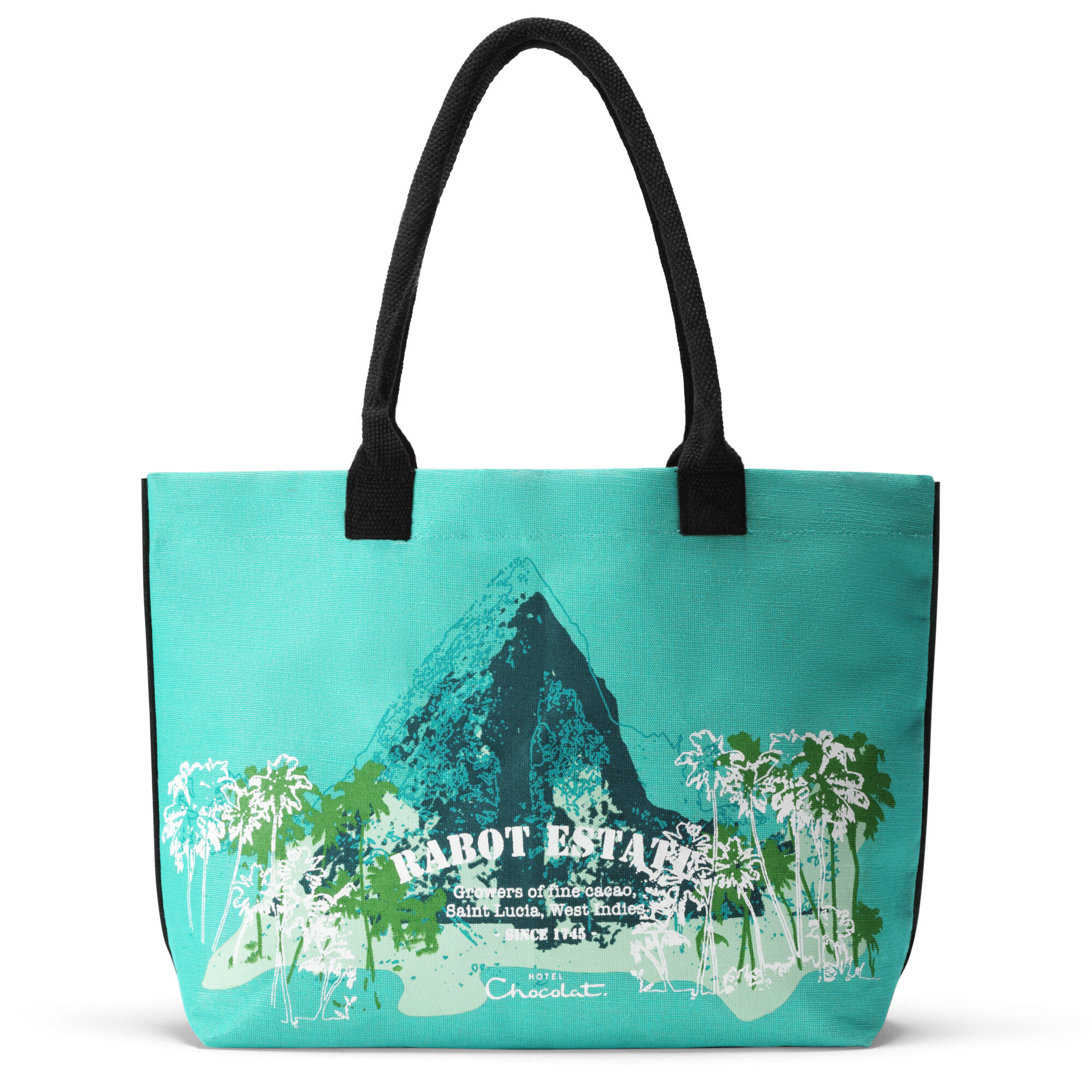 Turquoise Piton Bag