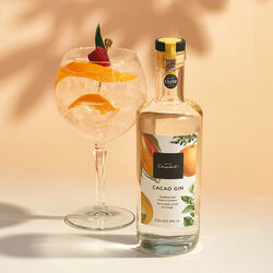 Cocoa Gin &amp; Tonic Cocktail Recipe, , hi-res