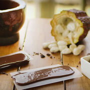 Bean to Bar Experiences, , hi-res