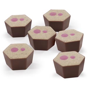 Cherry Coconut Slice Selector