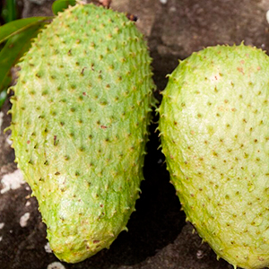 Beyond chocolate –essential cacao know-how