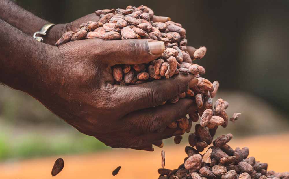 More To Cherish More To Cherish