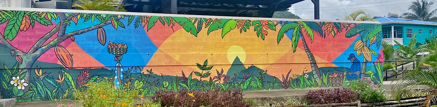 Our Cacao Farm In Saint Lucia Our Cacao Farm In Saint Lucia