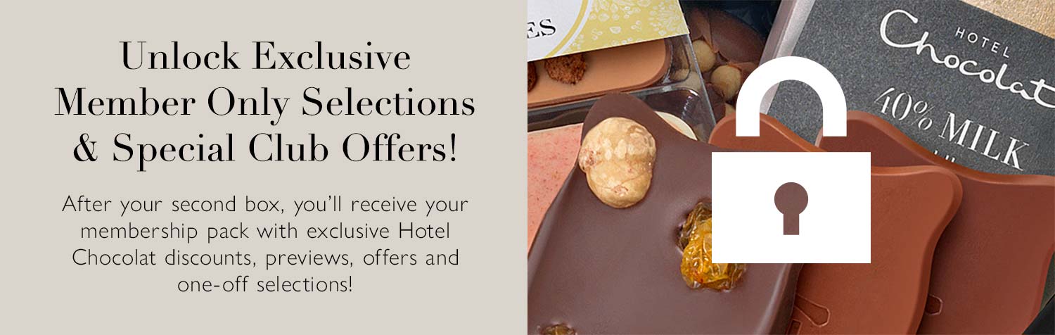 Monthly Chocolate Tasting Club Subscriptions