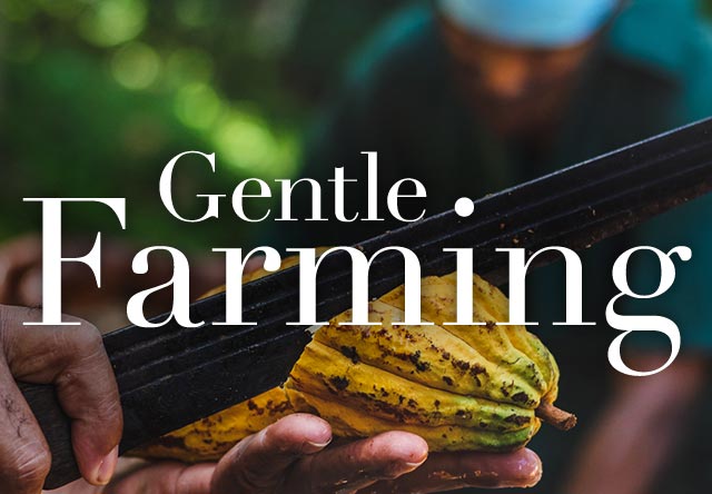 Gentle Farming