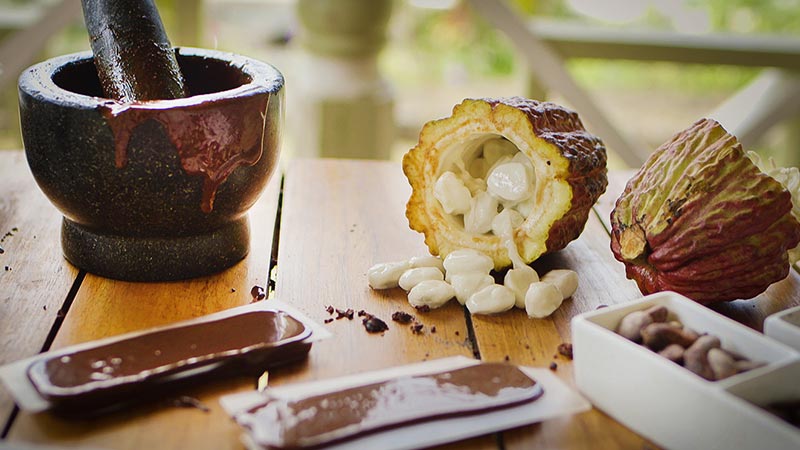 St Lucia Chocolate Tour