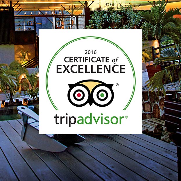 Awards & Reviews
