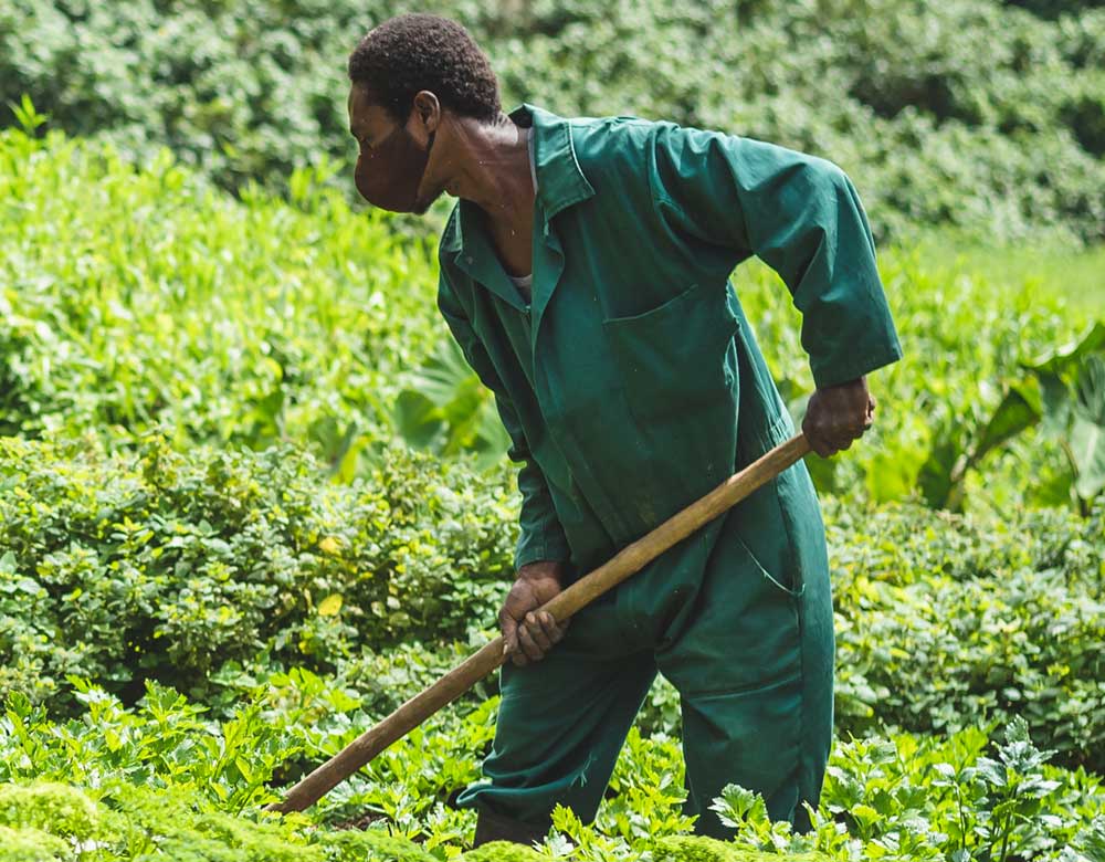 More To Cherish More To Cherish