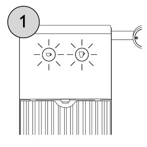 descaling your podster