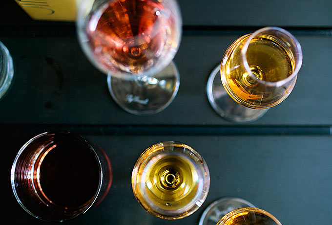 Total Cocoa Immersion