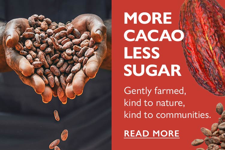 More Cacao Less Sugar
